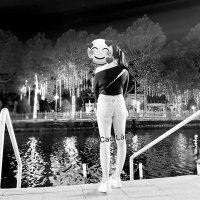 Đồi Hoa Mặt Trời (@vcsomecaolanh) 's Twitter Profile