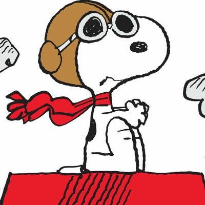 opalazzz's profile picture. e coisa e tal e tal e coisa