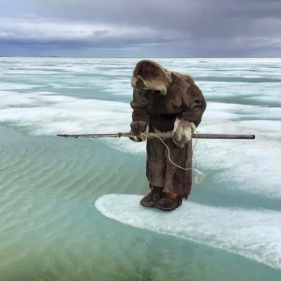 ggigimyomyo's profile picture. 디지털앙령