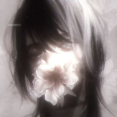 Niewiembigos's profile picture. 