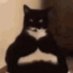 biggie (@biggieman222222) Twitter profile photo biggie (@biggieman222222) Twitter profile photo