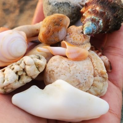 omareeg5's profile picture. اطلُبُوا من اللهِ على قَدرِ مُلكِهِ لا على قَدرِ  
أحلامِكُم مَالِكُ السَّماواتِ والأرضِ لن يُعجِزَه 
شيء فاطلُبوا  المُستَحيل.....بكالوريس حاسب آلي💻📷⏰