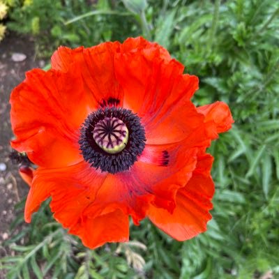 willow8772's profile picture. Weird YouTube Fun Food Comedy Amazing