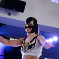 Stella Búho (@owlstellabuho) 's Twitter Profile Photo Stella Búho (@owlstellabuho) 's Twitter Profile Photo