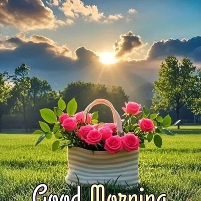 TaimoorKha68973's profile picture. 