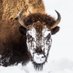 MontanaImages (@montanaimgs) Twitter profile photo MontanaImages (@montanaimgs) Twitter profile photo