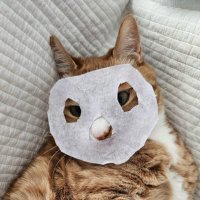 daily hufttttt (@starthinkings) 's Twitter Profile