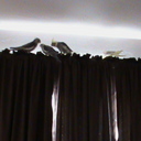 Donna Keener - @keener1964 - Twitter