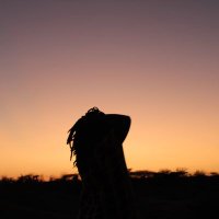 Kaino✨ (@florinekaino4) 's Twitter Profile Photo Kaino✨ (@florinekaino4) 's Twitter Profile Photo