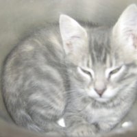 La Science (@science_la) 's Twitter Profile Photo La Science (@science_la) 's Twitter Profile Photo