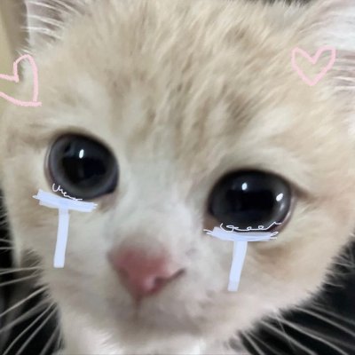 yakinbgt's profile picture. ceweknya mas minzrd🌷