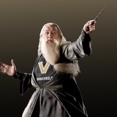 VUdumbleDORE's profile picture. where do the dores get their magic?