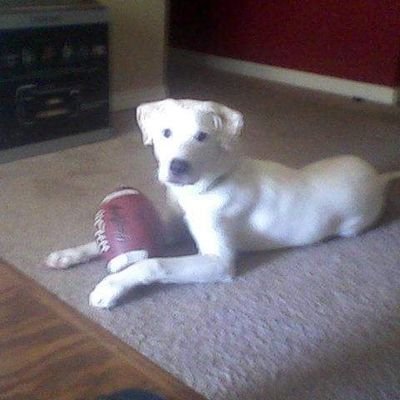 Mother of a Devil Dog, Oohrah! Need I say more? Rhetorical for the slow seats. No DMs.