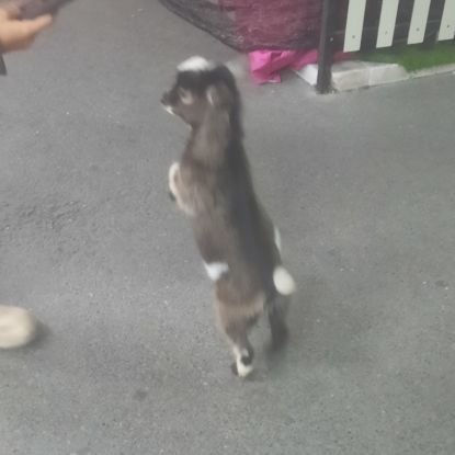 beanpaste_08112's profile picture. ลงทุกอย่างที่อยากลง งงมั้ยมี๊