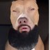 X_dawg (@barnslalatu) Twitter profile photo X_dawg (@barnslalatu) Twitter profile photo
