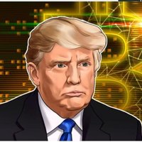 Trump 1000x, (@1000xtramp62635) 's Twitter Profile