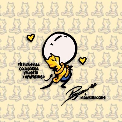 PACASSO-FANS Profile