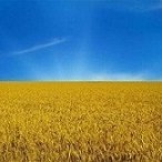 HVAC Engineer, liberal man. I stand with Ukraine forever. NAFO supporter. MUGA is the rule! Soon citizen of the European Federation.