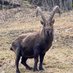 Eidgenosse🇨🇭😎 (@sf3906) Twitter profile photo Eidgenosse🇨🇭😎 (@sf3906) Twitter profile photo