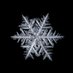 Snow Crypto (@winterinnft) Twitter profile photo Snow Crypto (@winterinnft) Twitter profile photo