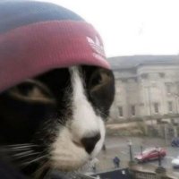 Dave (@justkeking) 's Twitter Profile Photo