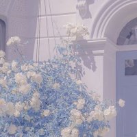 mitsuki ☽ (@k_moono__o) 's Twitter Profile Photo mitsuki ☽ (@k_moono__o) 's Twitter Profile Photo