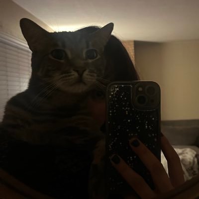 cheezckelvr's profile picture. i play games