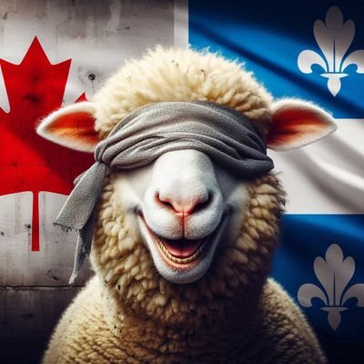 Quebécoeuré
Joignez-vous au nouveau parti politique.
CFENI - On sort les vidanges