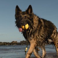 Nicky Strand 💚🤍💜 🏴 (@nicky_strand) 's Twitter Profile Photo Nicky Strand 💚🤍💜 🏴 (@nicky_strand) 's Twitter Profile Photo