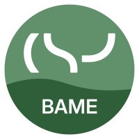 CSP BAME Network (@cspbame) 's Twitter Profile Photo CSP BAME Network (@cspbame) 's Twitter Profile Photo