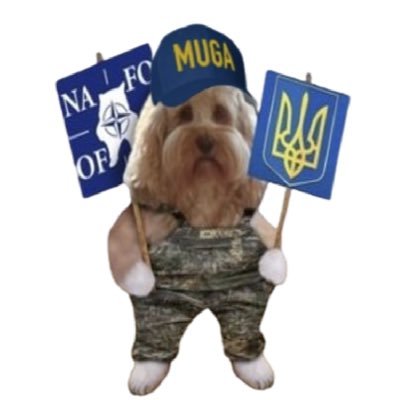 #NAFO @supportingUkraine🇺🇦NO DMs unless I follow you