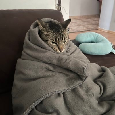 AceCezary's profile picture. 