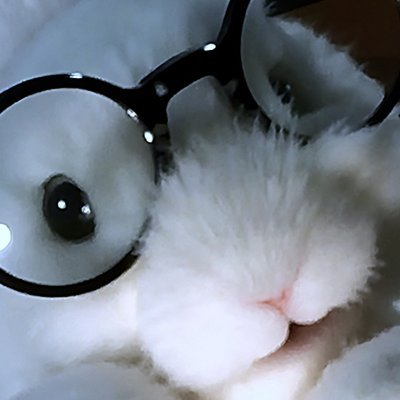 willrodrick13's profile picture. blessed be those who have no idols