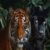 Tiger Panther (@tigerpanther40) Twitter profile photo Tiger Panther (@tigerpanther40) Twitter profile photo