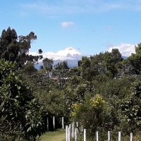 Ana Lucia (@amael55) 's Twitter Profile Photo Ana Lucia (@amael55) 's Twitter Profile Photo