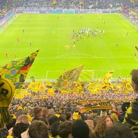 huit (@huitbvb) 's Twitter Profile