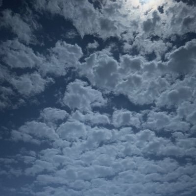 stoyvaks's profile picture. 