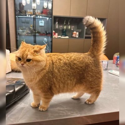 purplxfluoritx's profile picture. S ❤️‍🔥