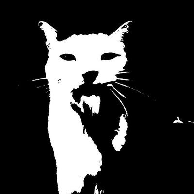 CamilaC47098's profile picture. 
