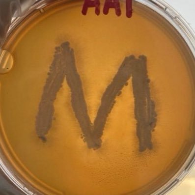 BSc in biology | Interested in microbiology | Patient Care Technician 🩺 | stay strong | Intern at @Schs_HA | The greatest success is to try