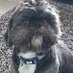 tbc (@tobecontinyad) Twitter profile photo tbc (@tobecontinyad) Twitter profile photo