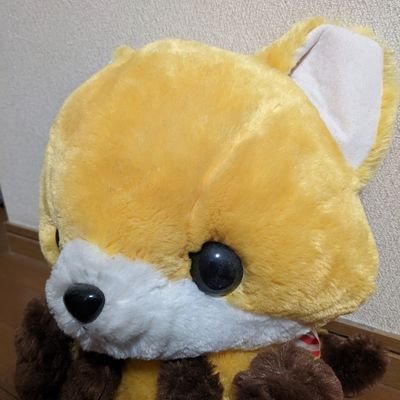 cocopal_395832y's profile picture. お笑い好き　M-1第1回大会を観てからずっと麒麟川島さんのファン!
ラヴィット!もラッピーも大好き❤
SHOW-ＷＡファンつっつん推し🧡