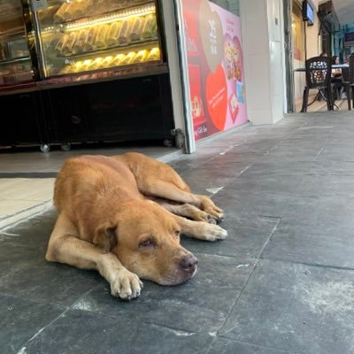 kei_incredible's profile picture. I am a