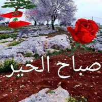 abouhassan2024 (@mdbouk97228) 's Twitter Profile