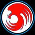 RISE eSports (@riseesports_) Twitter profile photo RISE eSports (@riseesports_) Twitter profile photo