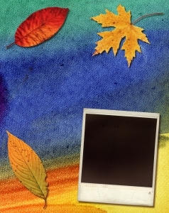 primrosethorn1's profile picture. Writer, blogger, love reading, social media enthusiast, blogger, web geek,