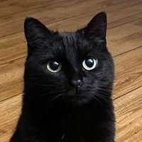 oduh (@oduh_web3) 's Twitter Profile