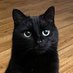 oduh (@oduh_web3) Twitter profile photo oduh (@oduh_web3) Twitter profile photo