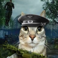 Vortex (@vortexll) 's Twitter Profile