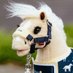 Tea5001 (@my_pony) Twitter profile photo Tea5001 (@my_pony) Twitter profile photo